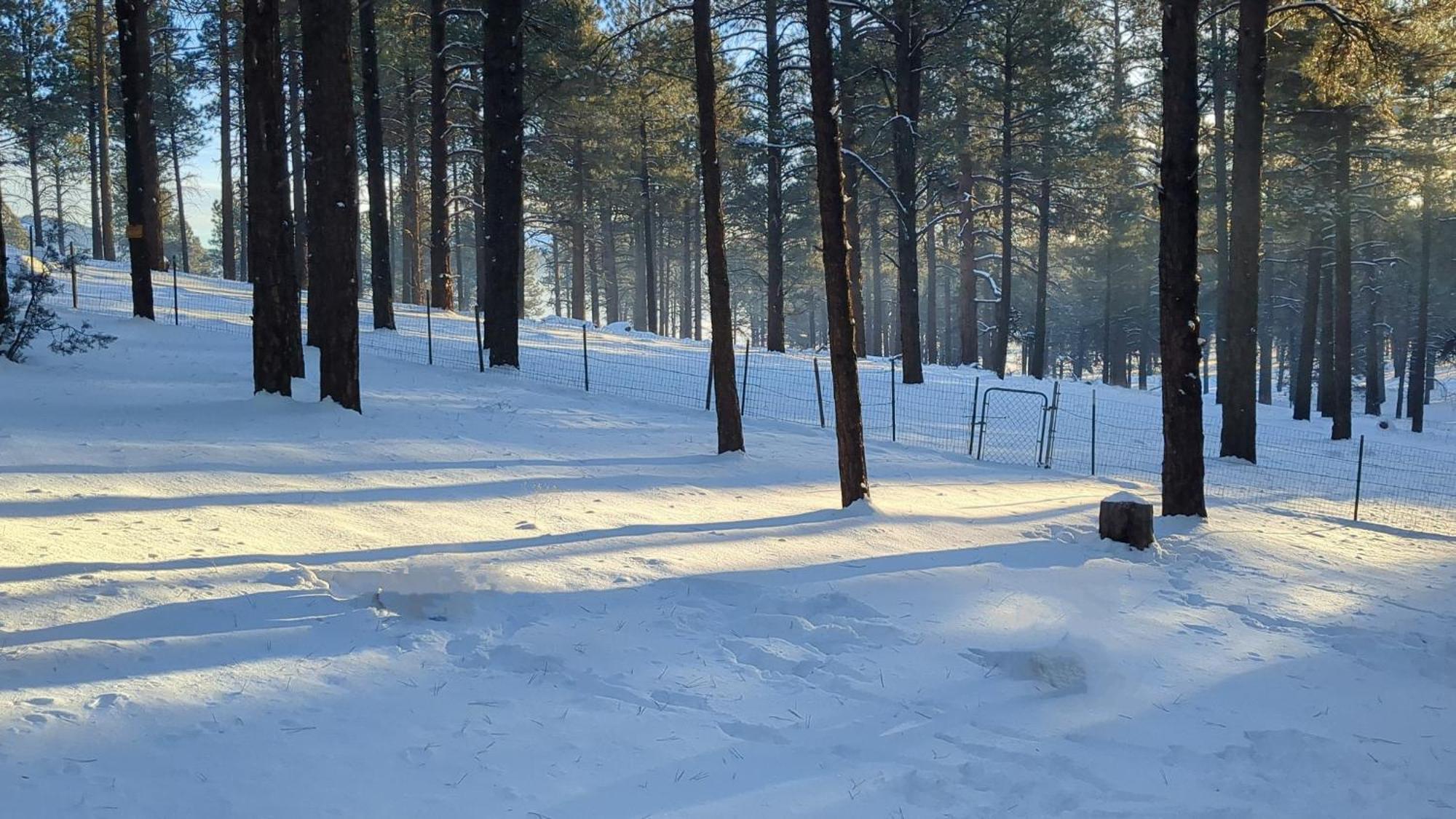 Close To Williams, Flagstaff, Grand Canyon And Sedona Exterior foto