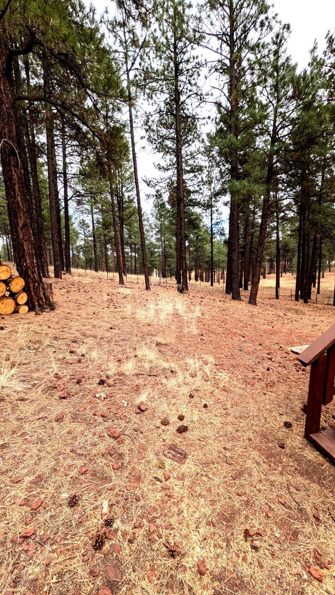 Close To Williams, Flagstaff, Grand Canyon And Sedona Exterior foto